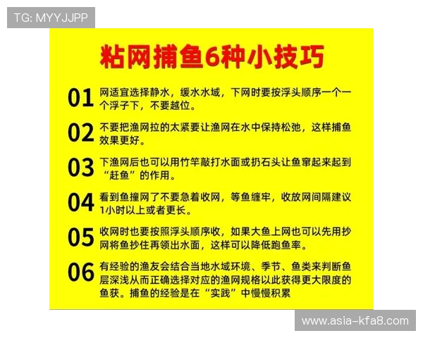 K8捕鱼技巧全面解析:新手玩家必学的实用技巧与操作指南